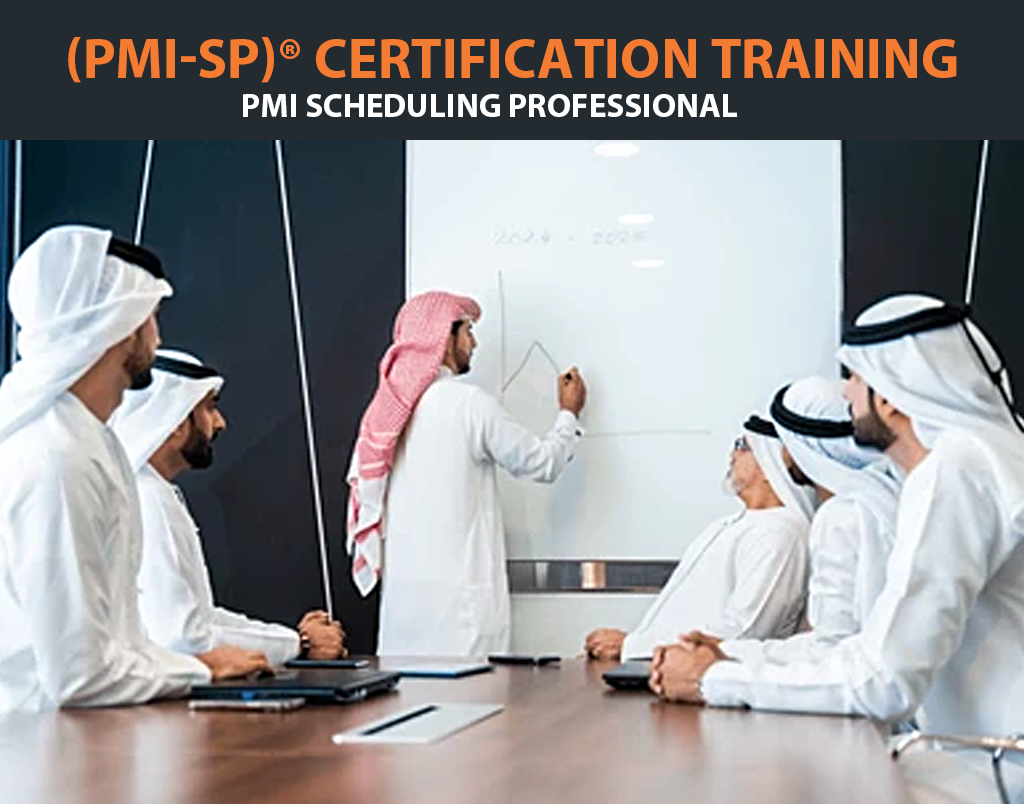 PMI-SP Training